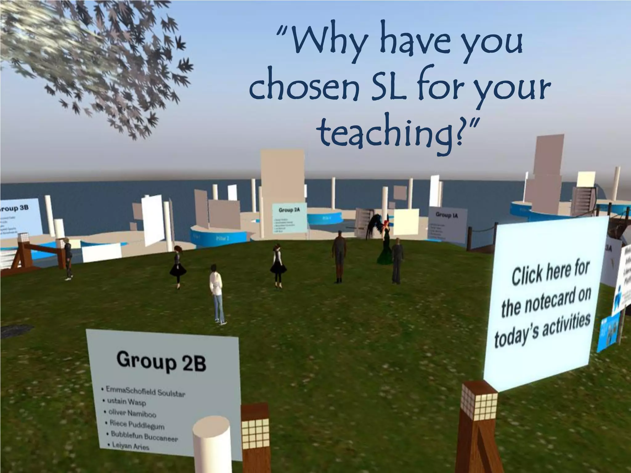 “Why have you
chosen SL for your
    teaching?”
 