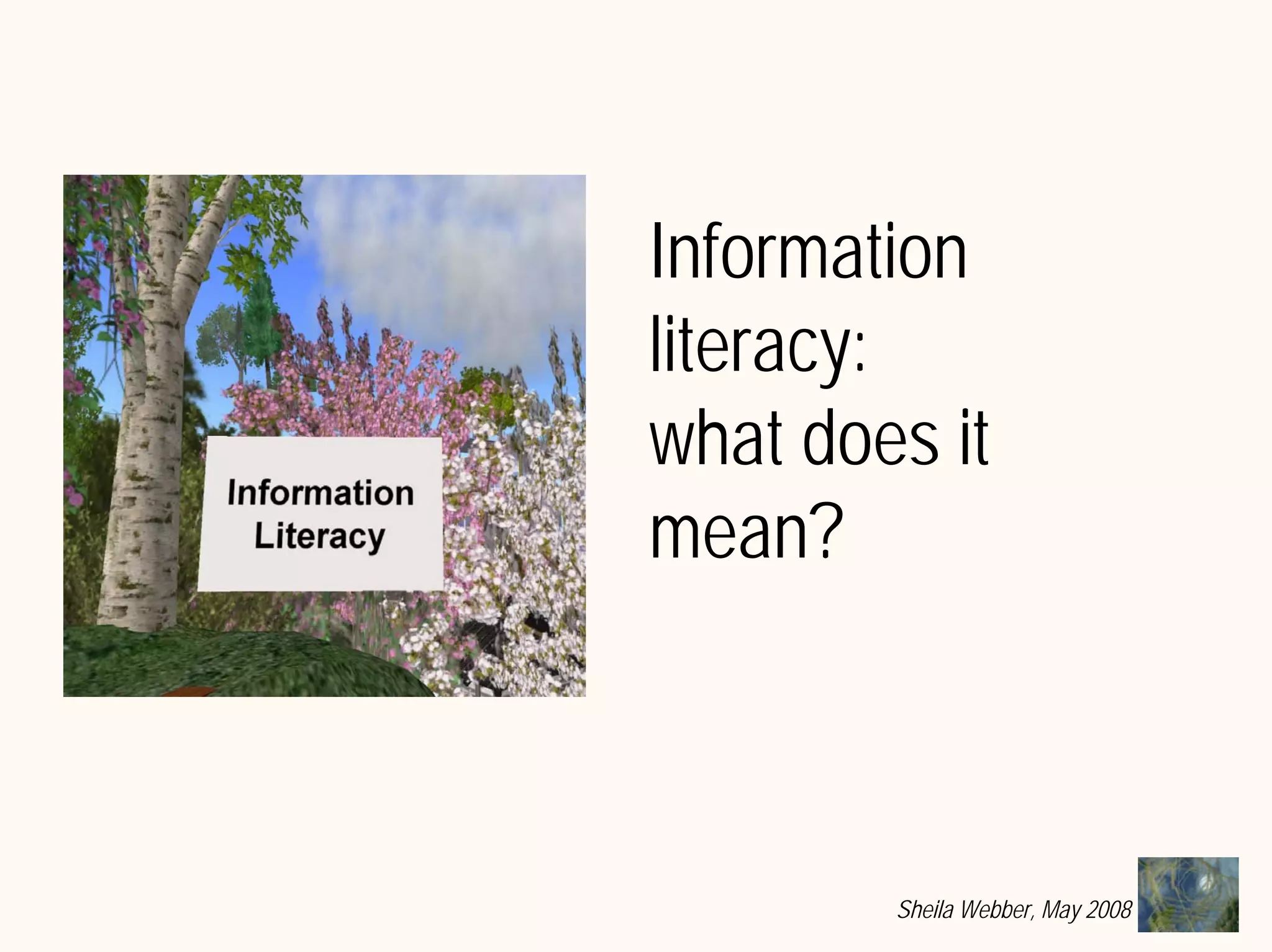 What does Information Literacy mean? Some examples from different disciplines