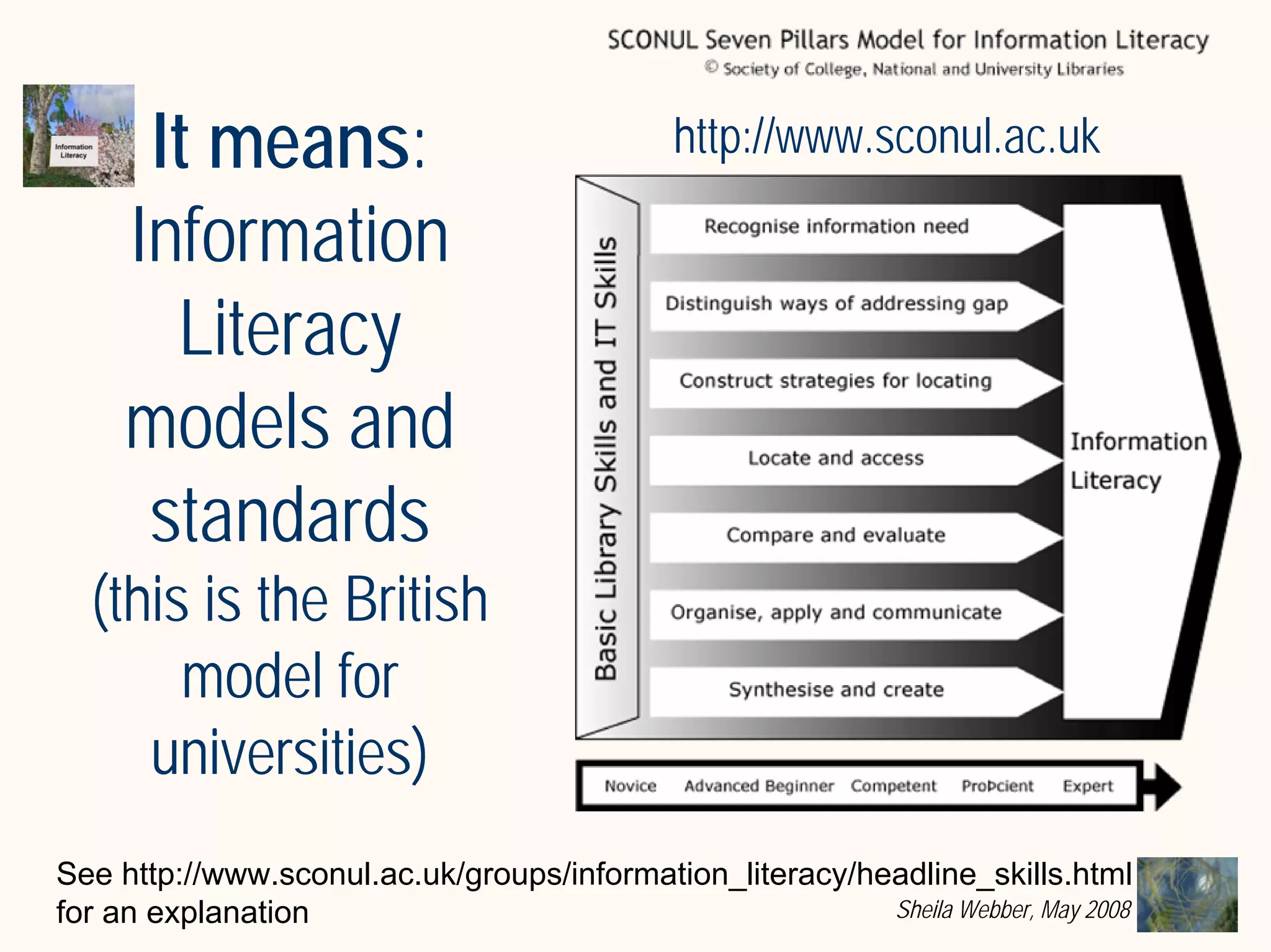 What does Information Literacy mean? Some examples from different disciplines