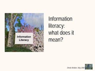 What does Information Literacy mean? Some examples from different disciplines