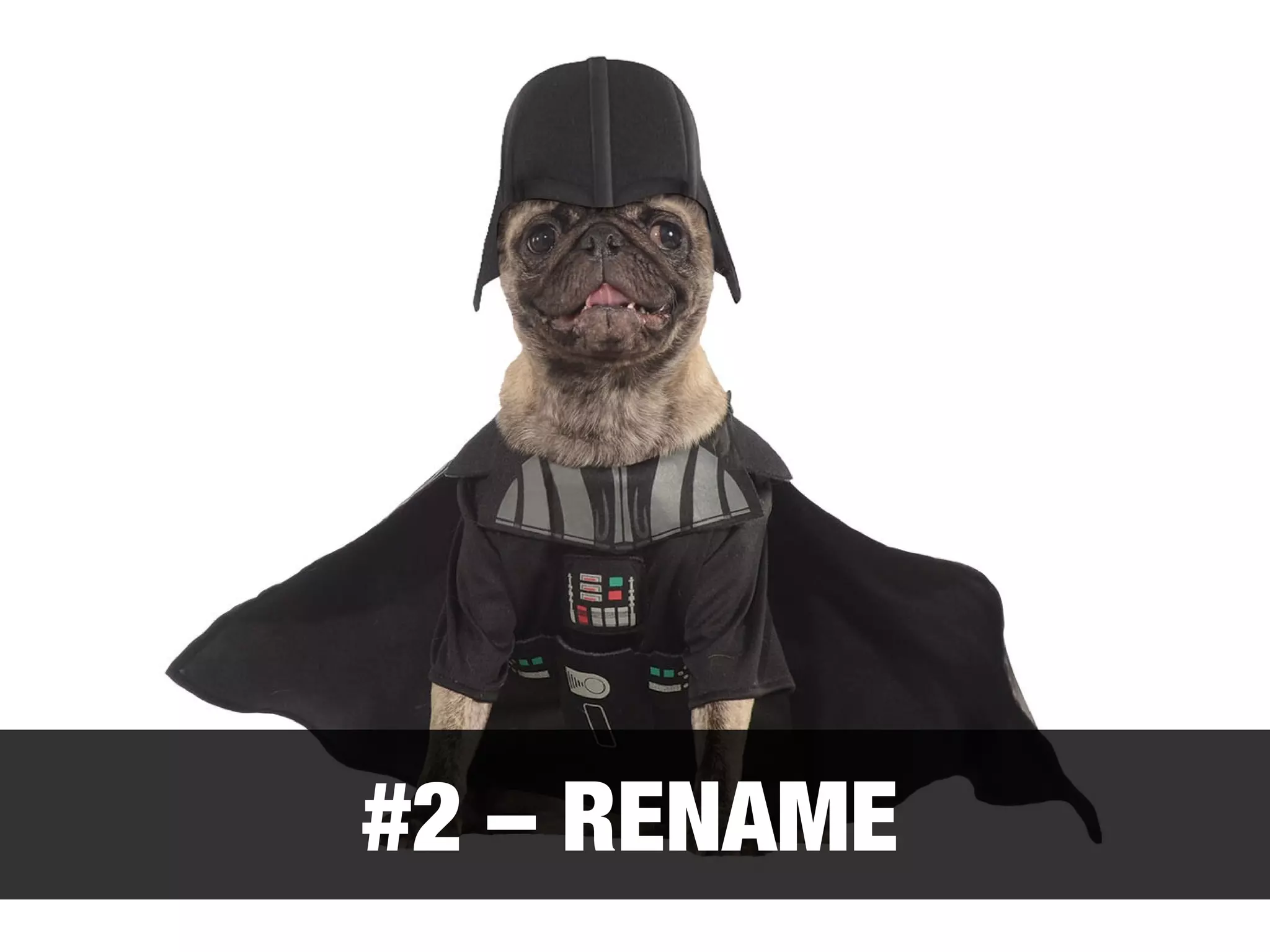 #2 – RENAME 
 