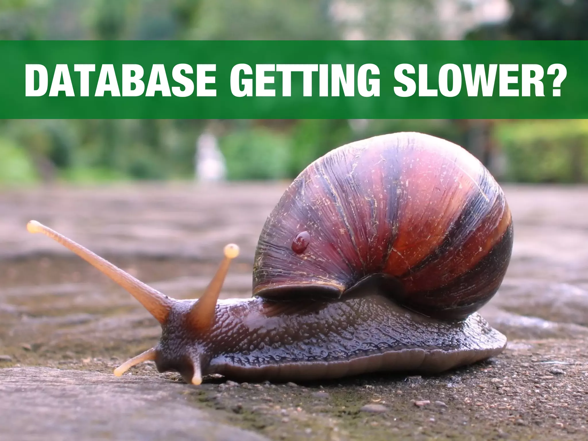 DATABASE GETTING SLOWER? 
 
