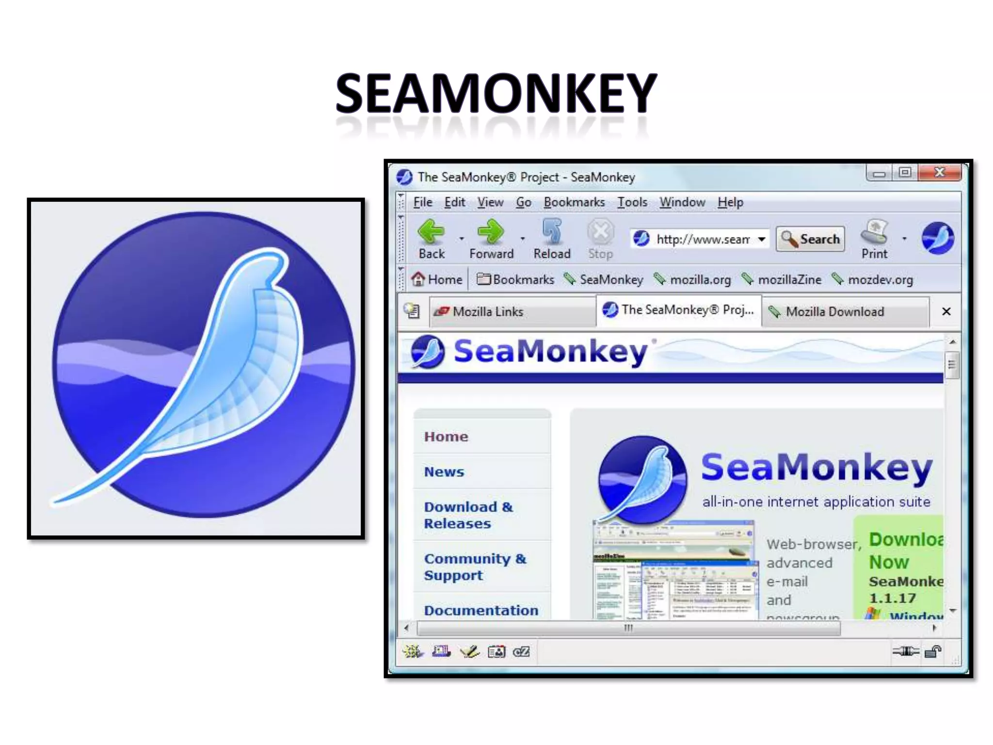 SEAMONKEY