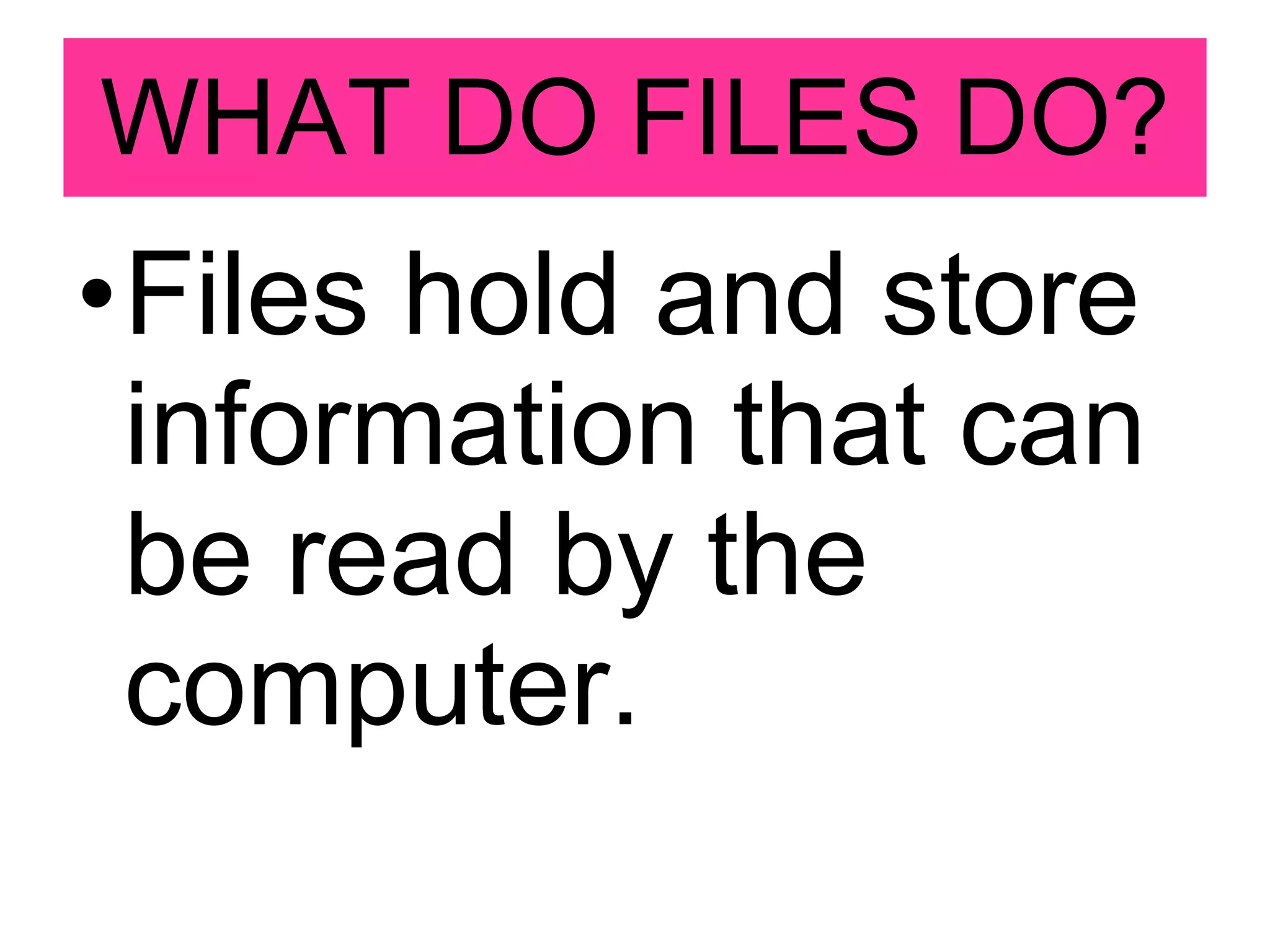 WHAT DO FILES DO? Files hold and store information that can be read by the computer. 