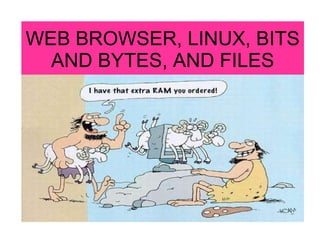 WEB BROWSER, LINUX, BITS AND BYTES, AND FILES 
