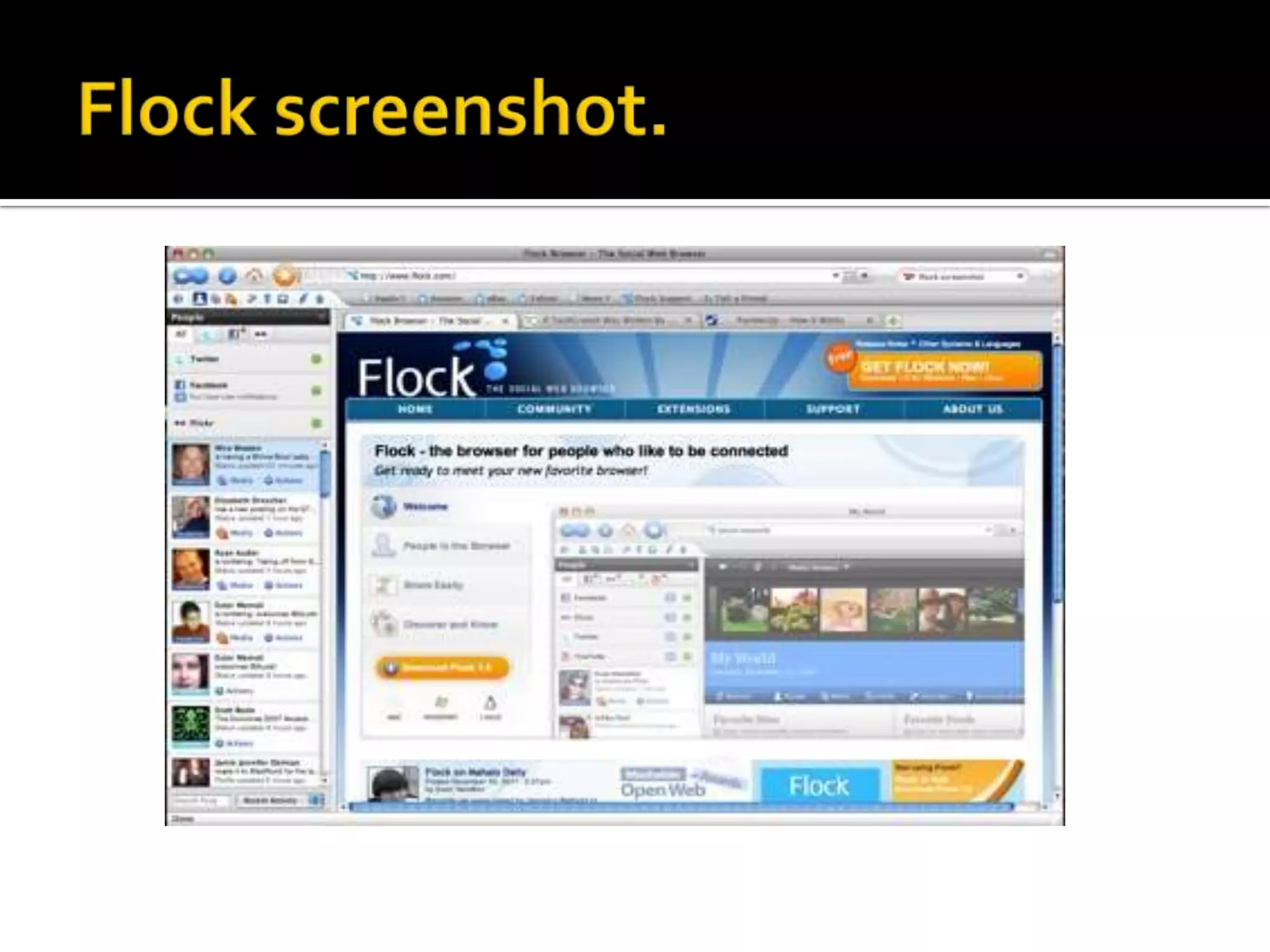 Flockscreenshot.
