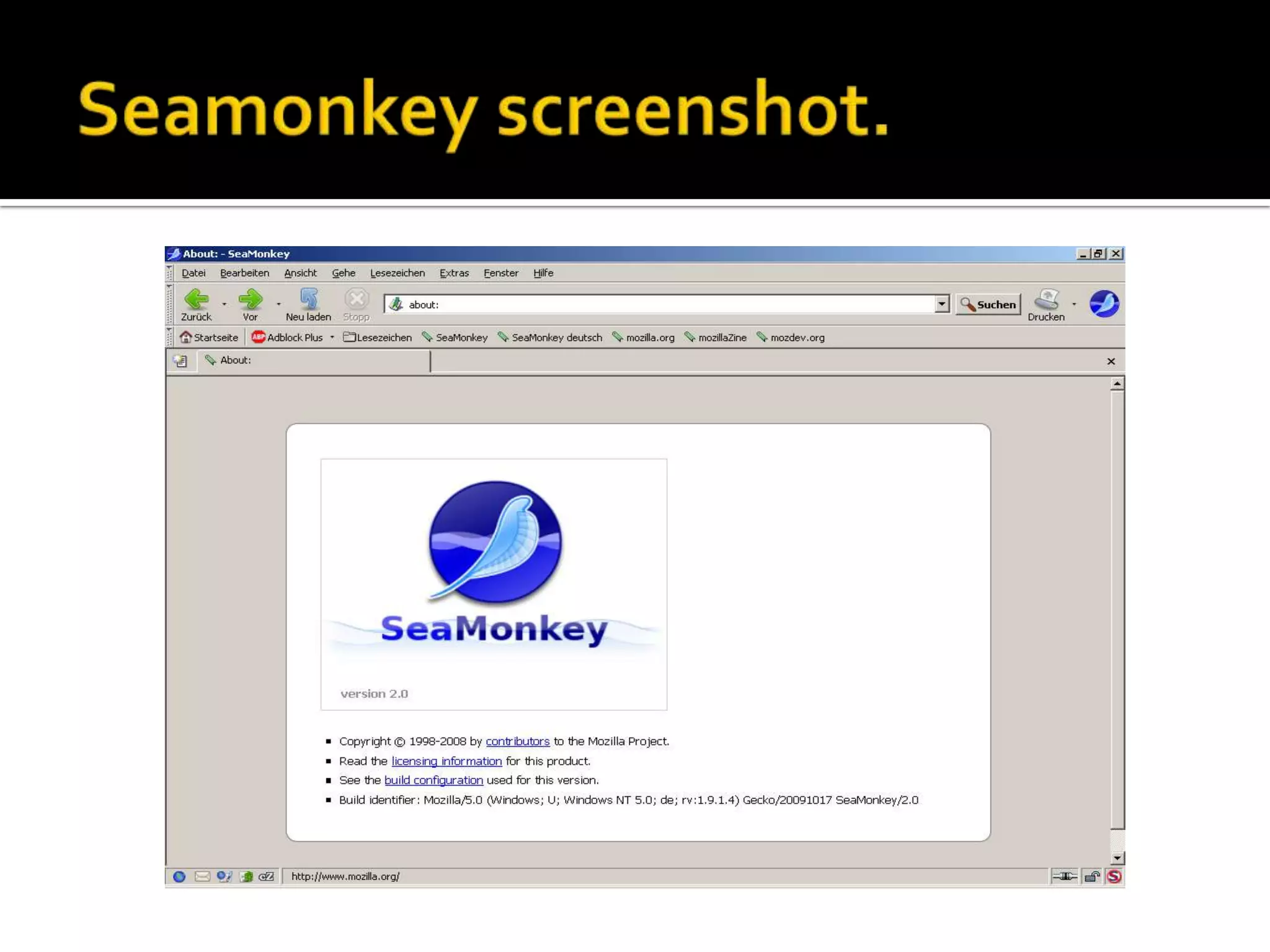 Seamonkeyscreenshot.