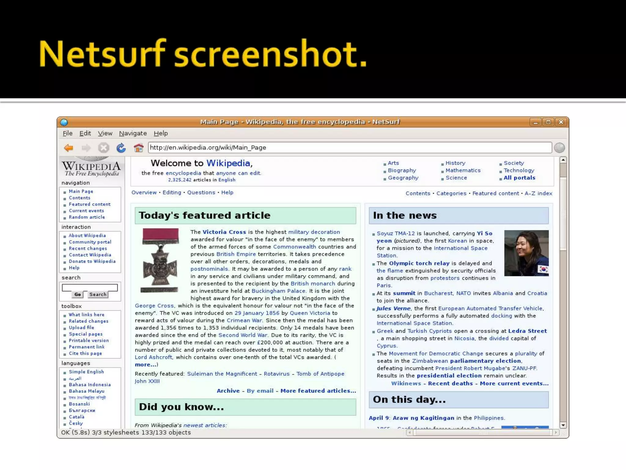 Netsurfscreenshot.