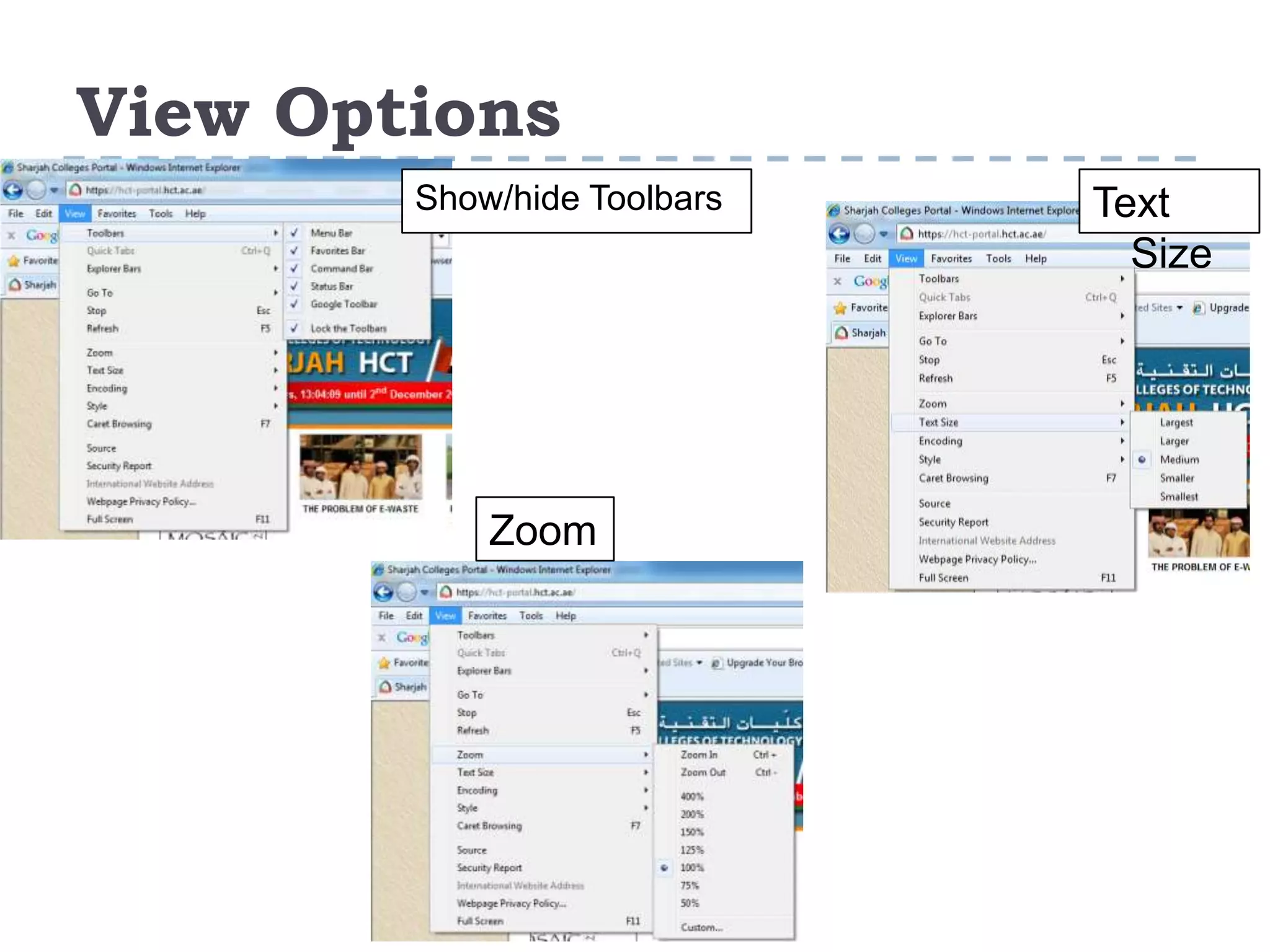 View Options
Show/hide Toolbars
Zoom
Text
Size
 