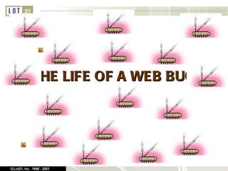 THE LIFE OF A WEB BUG
 