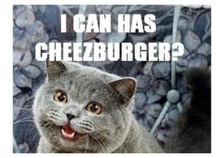 Webby Awards Germany: Memes im Meatspace
