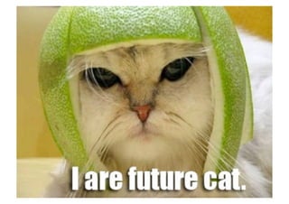 Webby Awards Germany: Memes im Meatspace