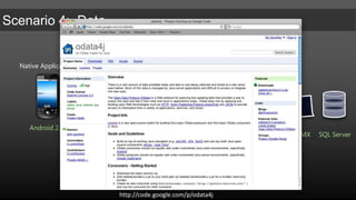 CRM 2011 REST interface only allows certain CRUD operations