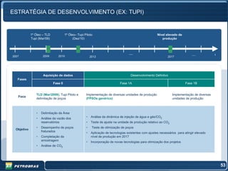 ESTRATÉGIA DE DESENVOLVIMENTO (EX: TUPI)


             1º Óleo – TLD            1º Óleo– Tupi Piloto                                             Nível elevado de
             Tupi (Mar/09)                  (Dez/10)                                                      produção



                                                                                   .....                                       .....          t
2007                 2009       2010                     2012                                                 2017




                     Aquisição de dados                                              Desenvolvimento Definitvo
   Fases
                             Fase 0                                          Fase 1A                                      Fase 1B


                TLD (Mar/2009), Tupi Piloto e        Implementação de diversas unidades de produção               Implementação de diversas
   Foco
                delimitação de poços                 (FPSOs genérico)                                             unidades de produção



                •   Delimitação da Área
                •   Análise da vazão dos             •   Análise da dinâmica de injeção de água e gás/CO2
                    reservatórios                    •   Teste de ajuste na unidade de produção relativo ao CO2
                •   Desempenho de poços              •    Teste de otimização de poços
  Objetivo
                    fraturados                       •   Aplicação de tecnologias existentes com ajustes necessários para atingir elevado
                •   Completação da                       nível de produção em 2017
                    amostragem                       •   Incorporação de novas tecnologias para otimização dos projetos
                •   Análise de CO2




                                                                                                                                                  53
 