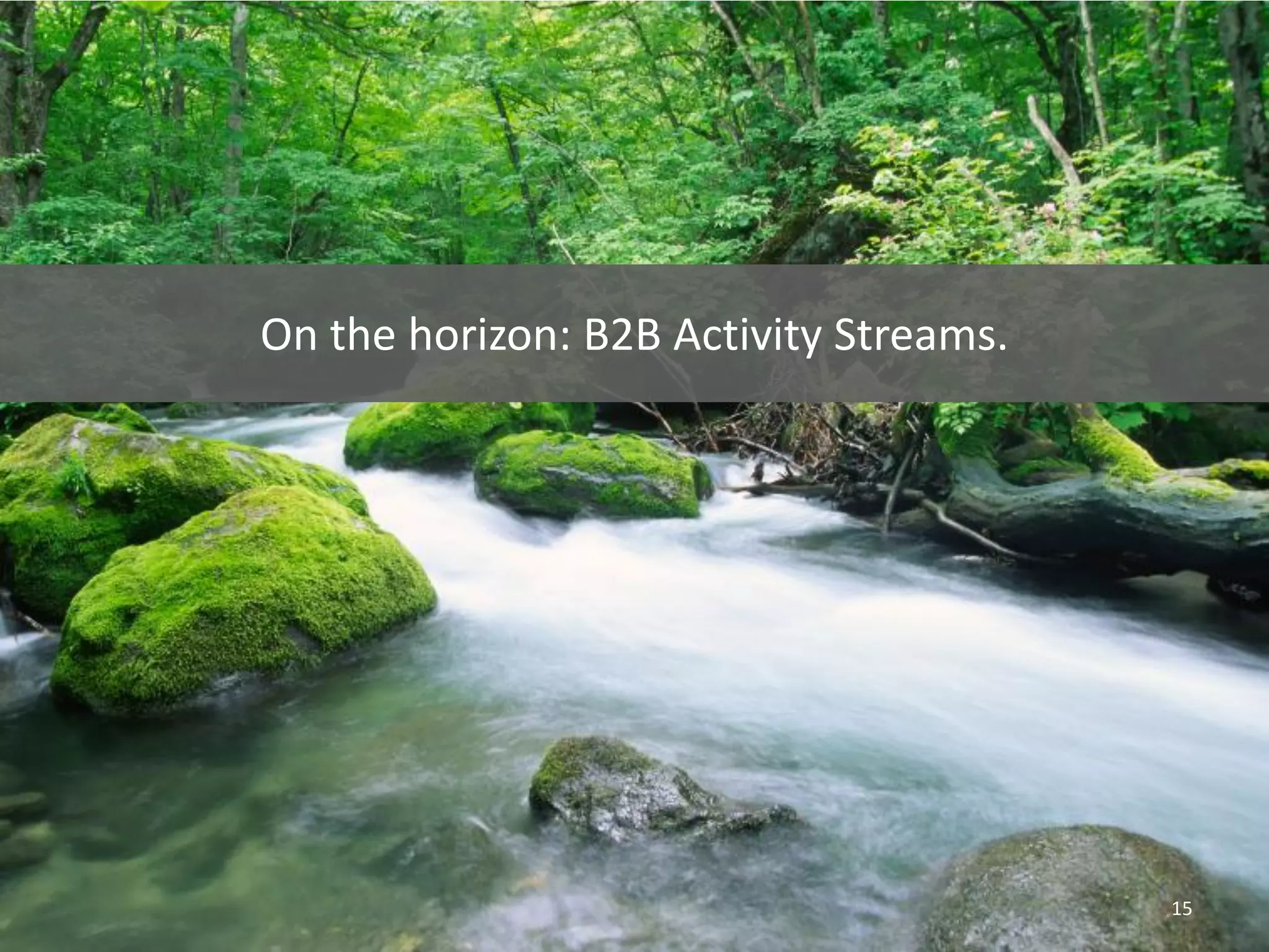 On the horizon: B2B Activity Streams.




                                        15
 