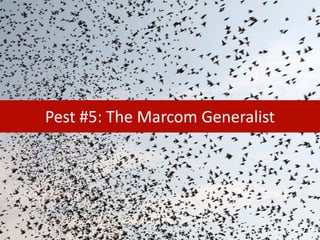 Pest #5: The Marcom Generalist
 