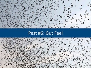 Pest #6: Gut Feel
 