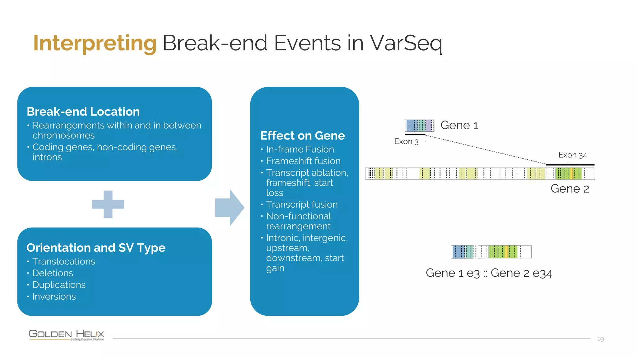 Interpreting Break-end Events in VarSeq
19
Break-end Location
• Rearrangements within and in between
chromosomes
• Coding genes, non-coding genes,
introns
Orientation and SV Type
• Translocations
• Deletions
• Duplications
• Inversions
Effect on Gene
• In-frame Fusion
• Frameshift fusion
• Transcript ablation,
frameshift, start
loss
• Transcript fusion
• Non-functional
rearrangement
• Intronic, intergenic,
upstream,
downstream, start
gain
Gene 2
Gene 1
Exon 3
Exon 34
Gene 1 e3 :: Gene 2 e34
 