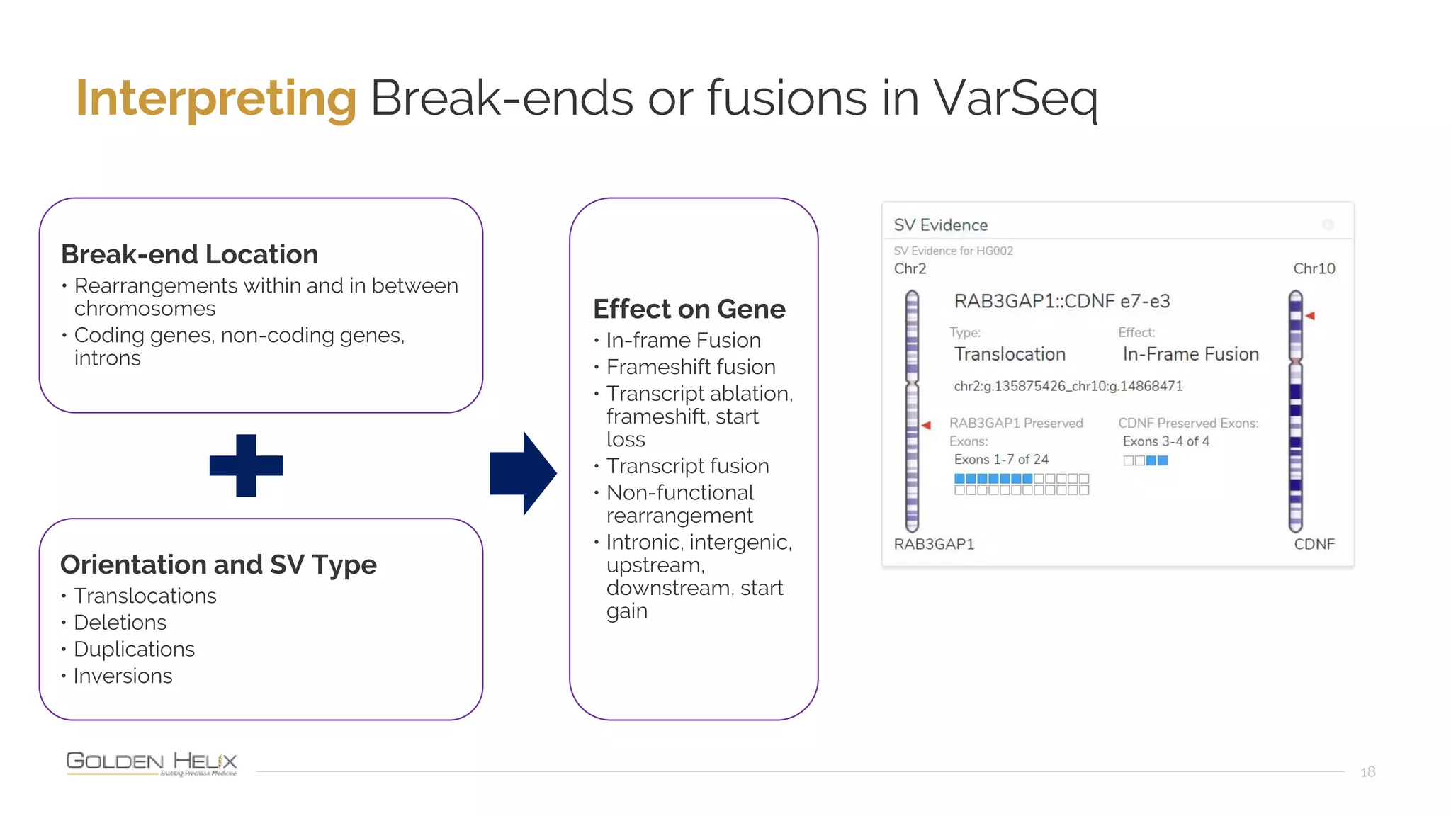 Interpreting Break-ends or fusions in VarSeq
18
Break-end Location
• Rearrangements within and in between
chromosomes
• Coding genes, non-coding genes,
introns
Orientation and SV Type
• Translocations
• Deletions
• Duplications
• Inversions
Effect on Gene
• In-frame Fusion
• Frameshift fusion
• Transcript ablation,
frameshift, start
loss
• Transcript fusion
• Non-functional
rearrangement
• Intronic, intergenic,
upstream,
downstream, start
gain
 