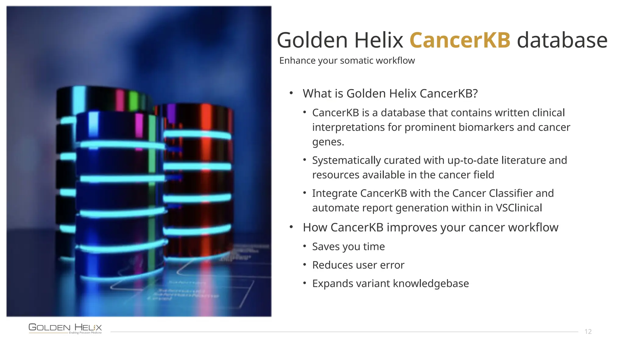 12
Golden Helix CancerKB database
• What is Golden Helix CancerKB?
• CancerKB is a database that contains written clinical
interpretations for prominent biomarkers and cancer
genes.
• Systematically curated with up-to-date literature and
resources available in the cancer field
• Integrate CancerKB with the Cancer Classifier and
automate report generation within in VSClinical
• How CancerKB improves your cancer workflow
• Saves you time
• Reduces user error
• Expands variant knowledgebase
Enhance your somatic workflow
 