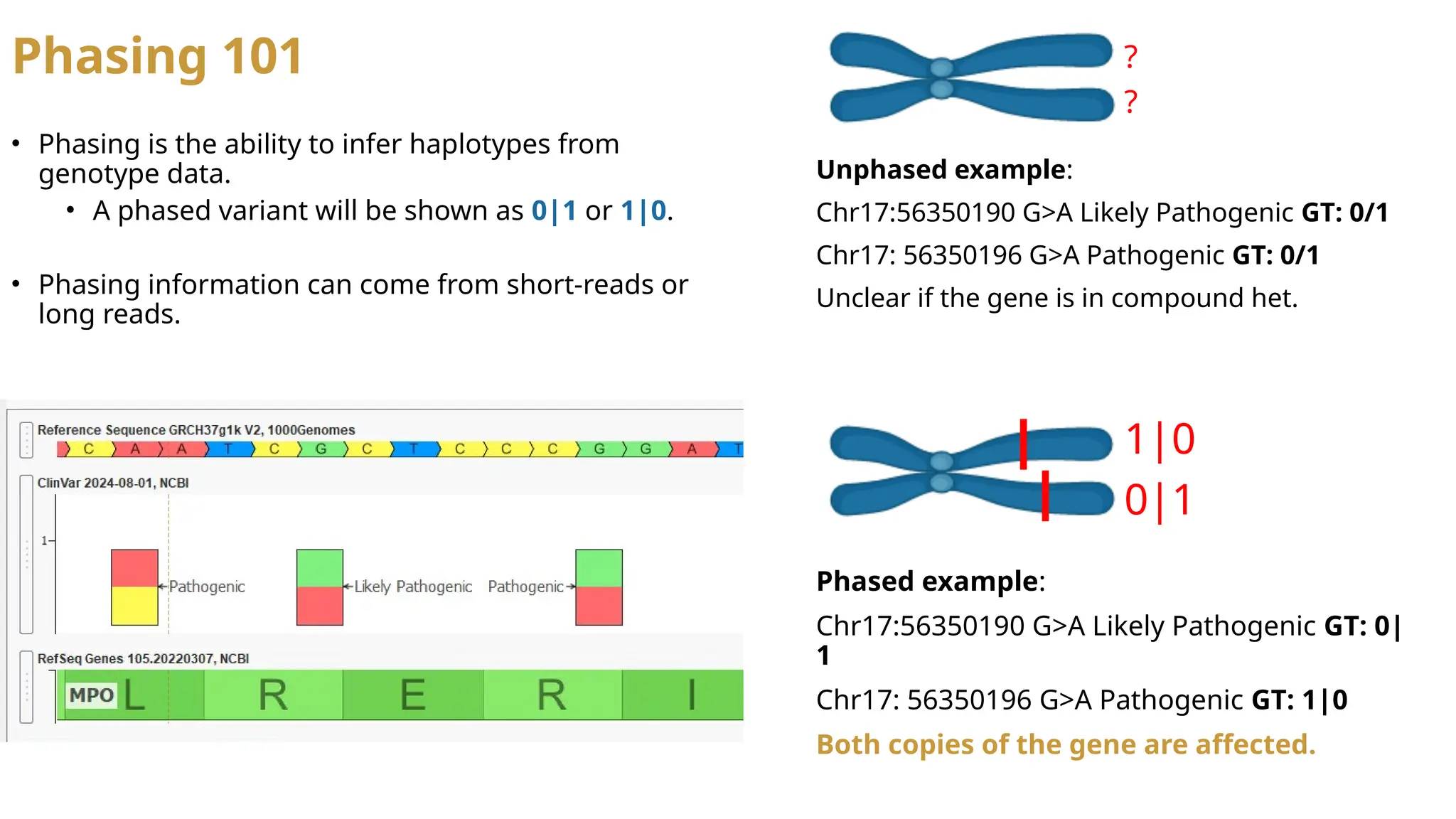 Phasing 101
Unphased example:
Chr17:56350190 G>A Likely Pathogenic GT: 0/1
Chr17: 56350196 G>A Pathogenic GT: 0/1
Unclear if the gene is in compound het.
Phased example:
Chr17:56350190 G>A Likely Pathogenic GT: 0|
1
Chr17: 56350196 G>A Pathogenic GT: 1|0
Both copies of the gene are affected.
• Phasing is the ability to infer haplotypes from
genotype data.
• A phased variant will be shown as 0|1 or 1|0.
• Phasing information can come from short-reads or
long reads.
?
?
1|0
0|1
 