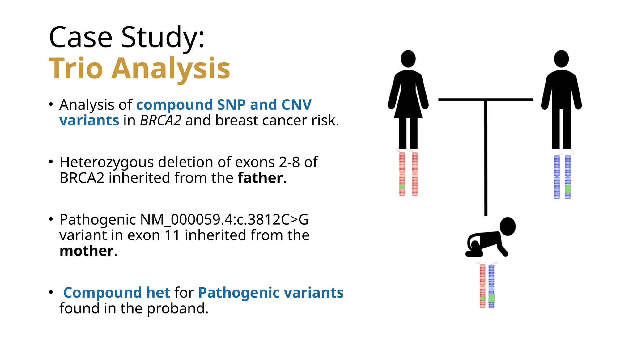 Case Study:
Trio Analysis
• Analysis of compound SNP and CNV
variants in BRCA2 and breast cancer risk.
• Heterozygous deletion of exons 2-8 of
BRCA2 inherited from the father.
• Pathogenic NM_000059.4:c.3812C>G
variant in exon 11 inherited from the
mother.
• Compound het for Pathogenic variants
found in the proband.
 