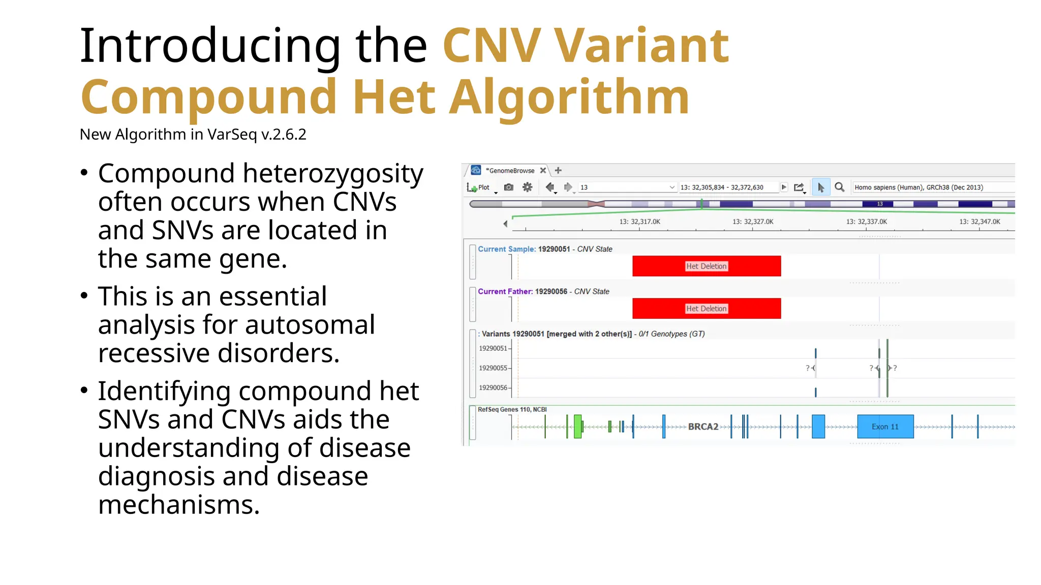 Introducing the CNV Variant
Compound Het Algorithm
• Compound heterozygosity
often occurs when CNVs
and SNVs are located in
the same gene.
• This is an essential
analysis for autosomal
recessive disorders.
• Identifying compound het
SNVs and CNVs aids the
understanding of disease
diagnosis and disease
mechanisms.
New Algorithm in VarSeq v.2.6.2
 