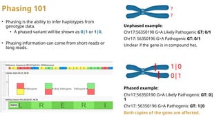 Phasing 101
Unphased example:
Chr17:56350190 G>A Likely Pathogenic GT: 0/1
Chr17: 56350196 G>A Pathogenic GT: 0/1
Unclear if the gene is in compound het.
Phased example:
Chr17:56350190 G>A Likely Pathogenic GT: 0|
1
Chr17: 56350196 G>A Pathogenic GT: 1|0
Both copies of the gene are affected.
• Phasing is the ability to infer haplotypes from
genotype data.
• A phased variant will be shown as 0|1 or 1|0.
• Phasing information can come from short-reads or
long reads.
?
?
1|0
0|1
 