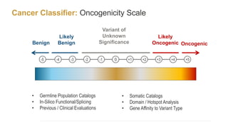 Cancer Classifier: Oncogenicity Scale
Oncogenic
Likely
Oncogenic
Likely
Benign
Benign
-5 0 +3 +5
-4 +2
-2 +1 +4
-1
-3
Variant of
Unknown
Significance
• Germline Population Catalogs
• In-Silico Functional/Splicing
• Previous / Clinical Evaluations
• Somatic Catalogs
• Domain / Hotspot Analysis
• Gene Affinity to Variant Type
 