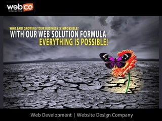 Web Development | Website Design Company 