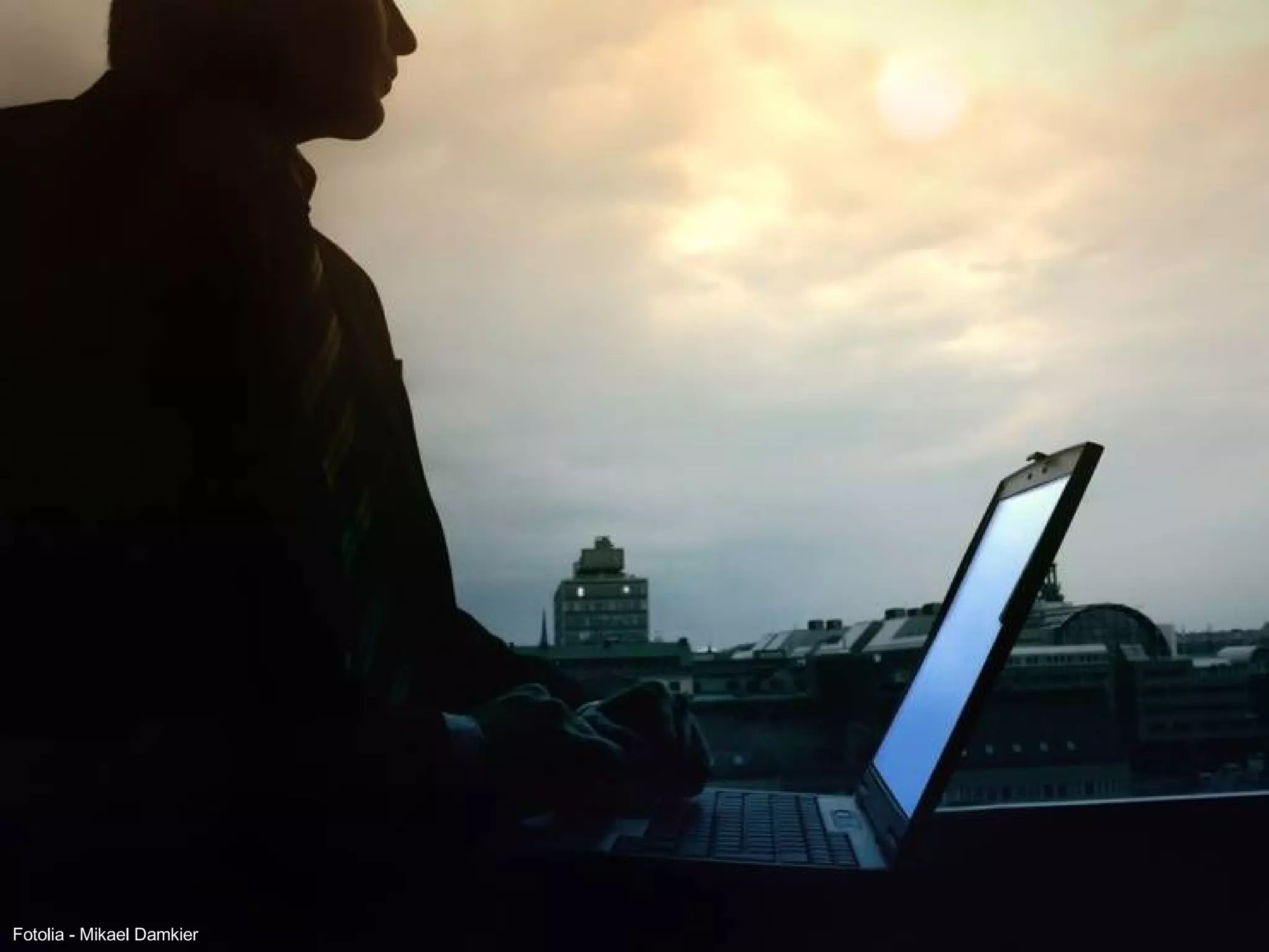 Fotolia -  Mikael Damkier  