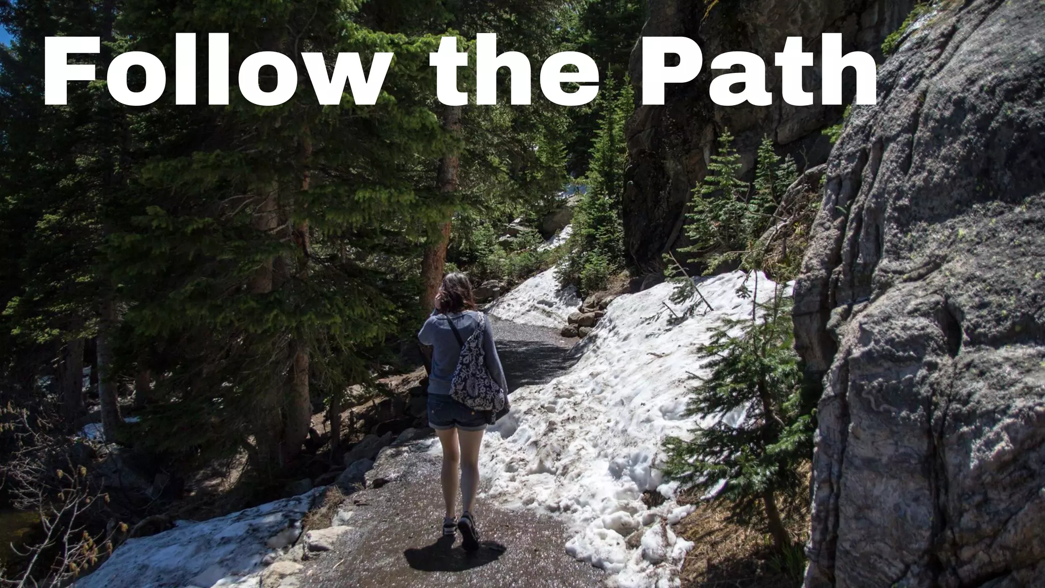 Follow the Path
 