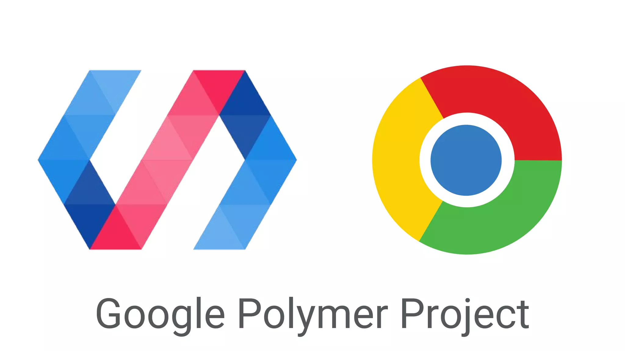 Google Polymer Project
 