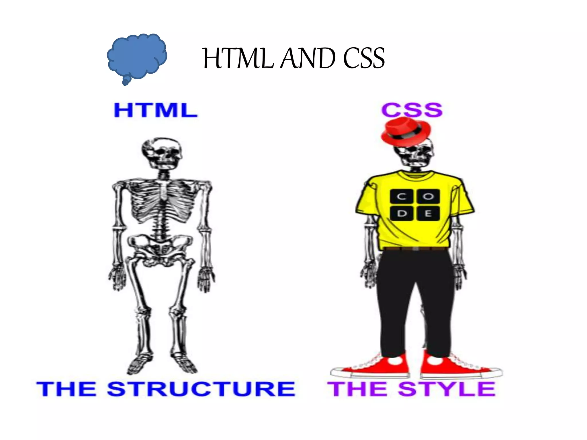 HTML AND CSS