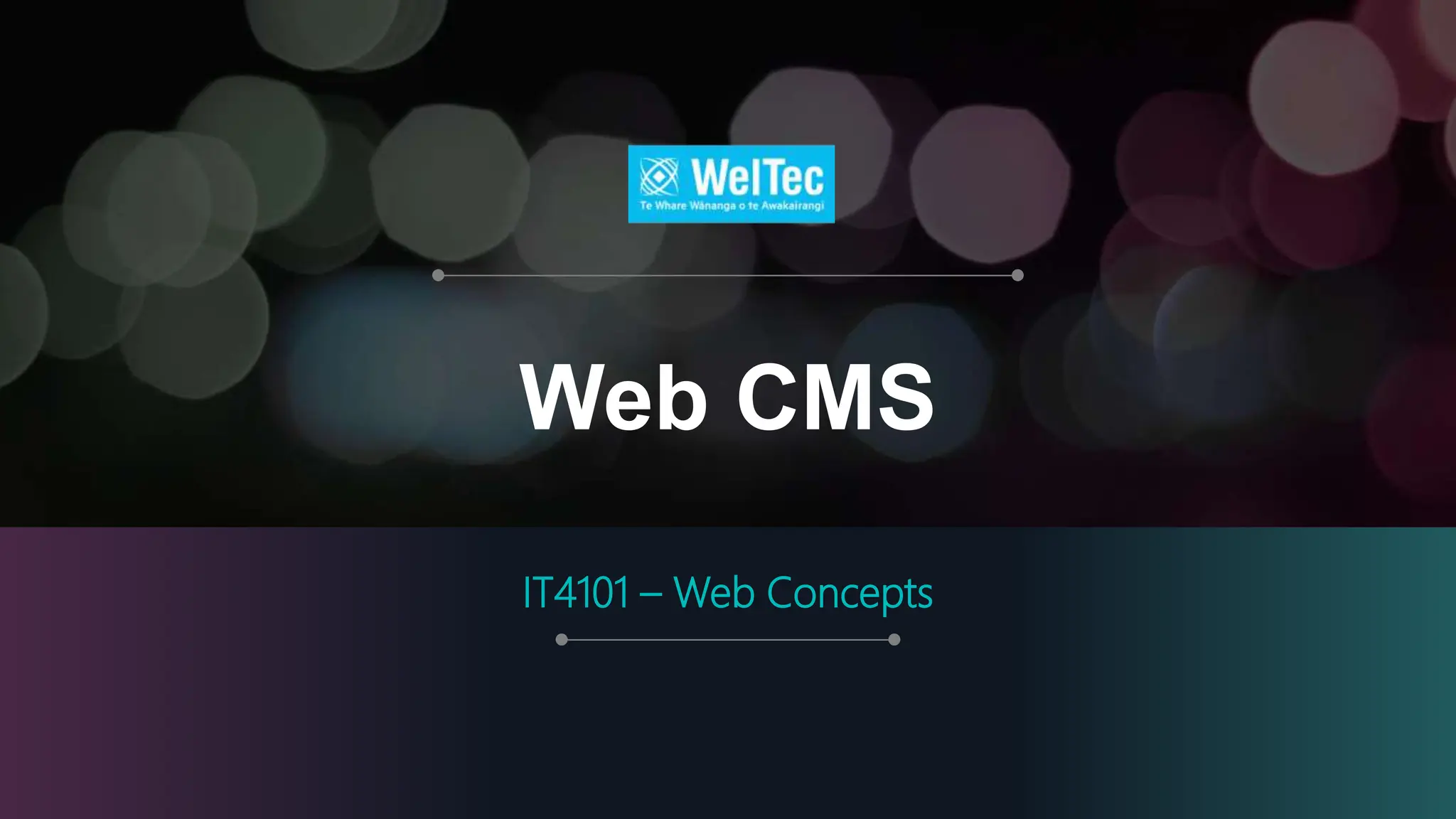 Web Concepts for professionals in information technology _Lec6.pptx