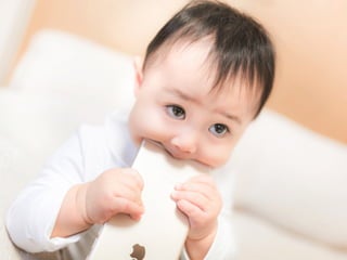 1年間で100万PV増やしたコンテンツ運用と最適化｜写真素材サイトぱくたそ