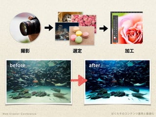 1年間で100万PV増やしたコンテンツ運用と最適化｜写真素材サイトぱくたそ