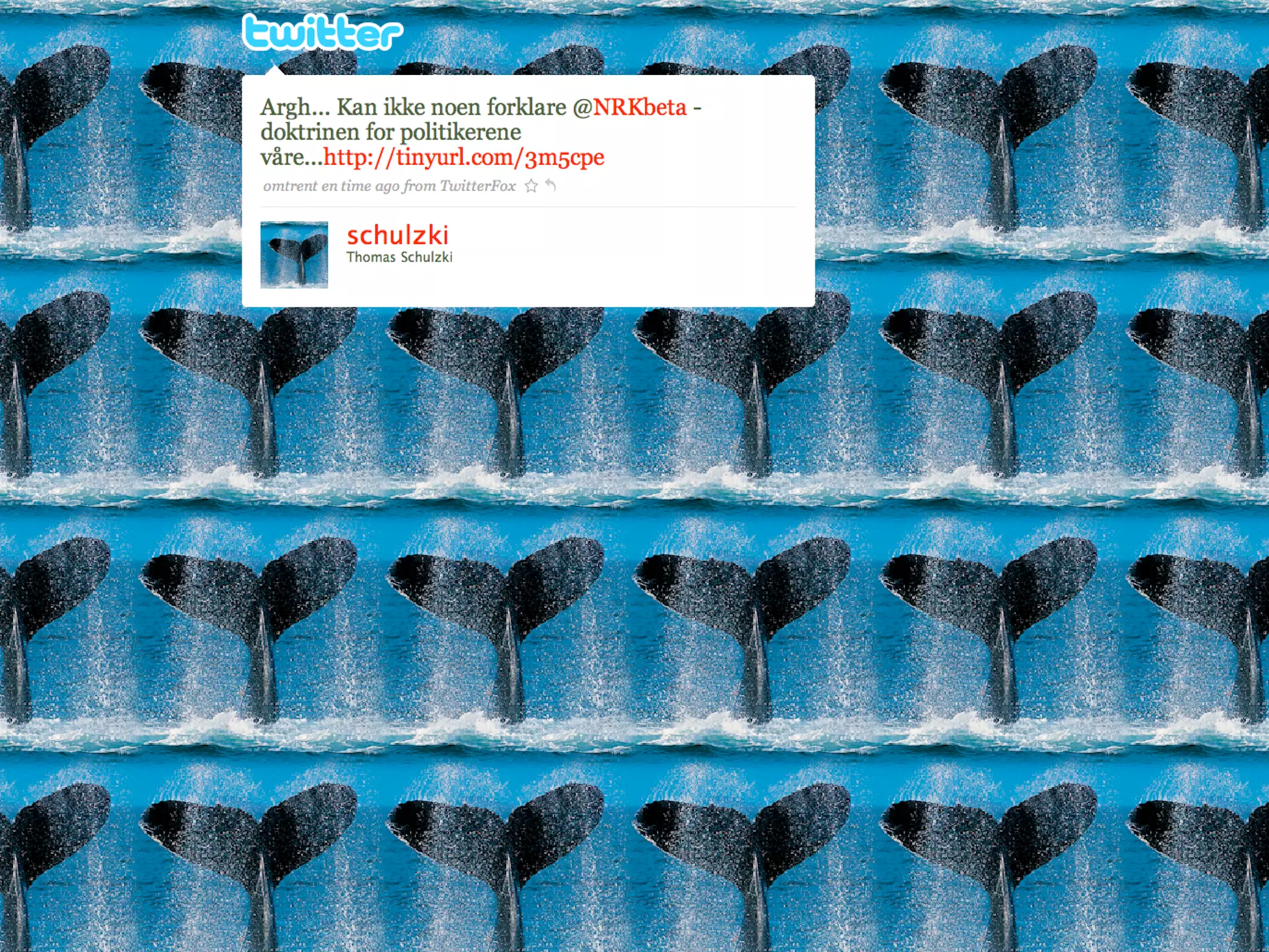 NRKbeta - Webdagene 2008