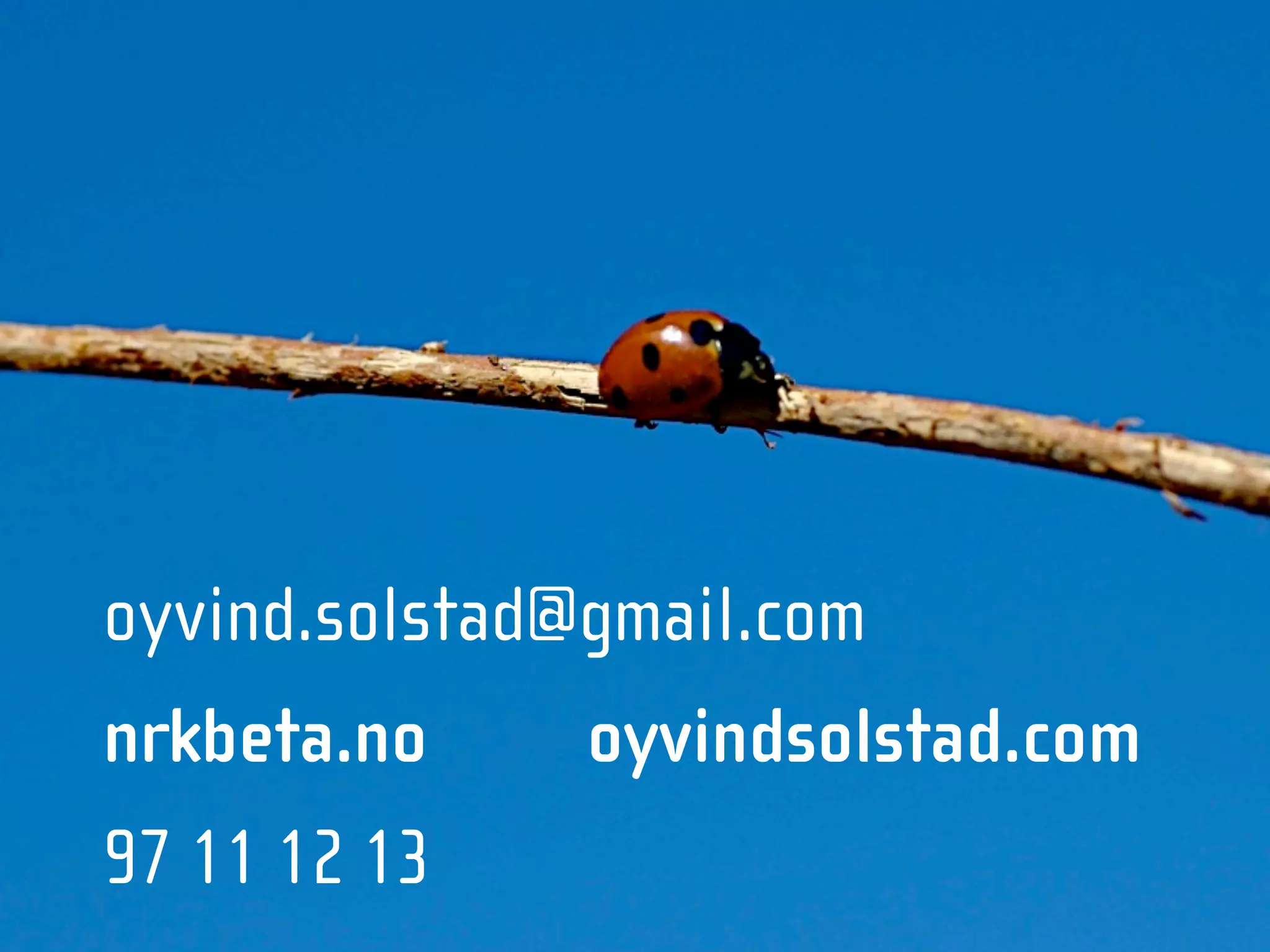 NRKbeta - Webdagene 2008