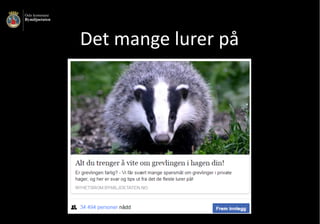 Det	mange	lurer	på
 
