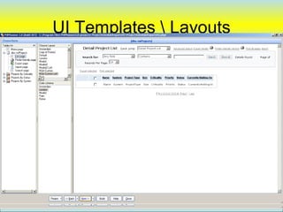 UI Templates  Layouts




                         46
 