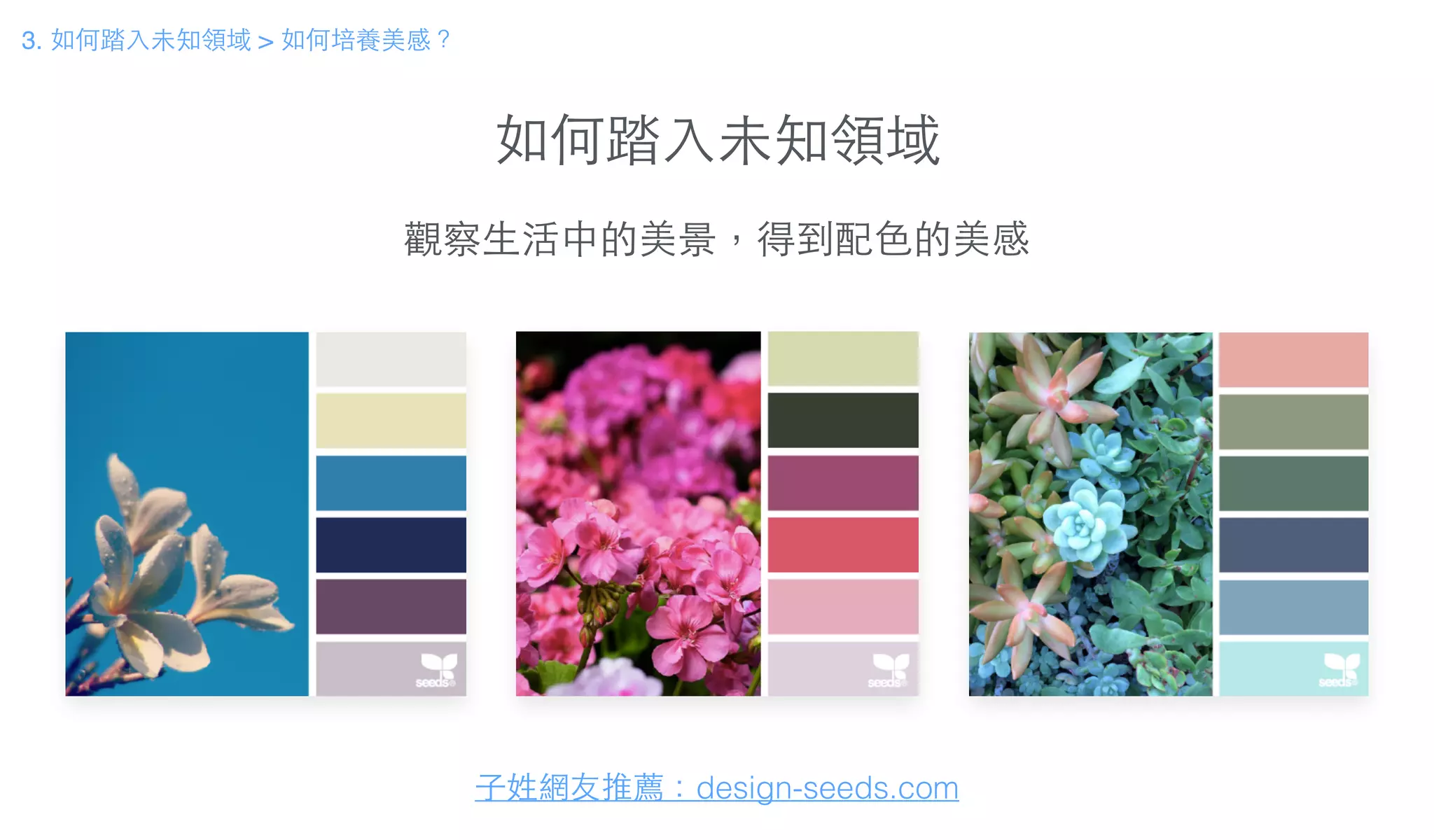 如何踏⼊入未知領域
3. 如何踏⼊入未知領域 > 如何培養美感？
⼦子姓網友推薦：design-seeds.com
觀察⽣生活中的美景，得到配⾊色的美感
 