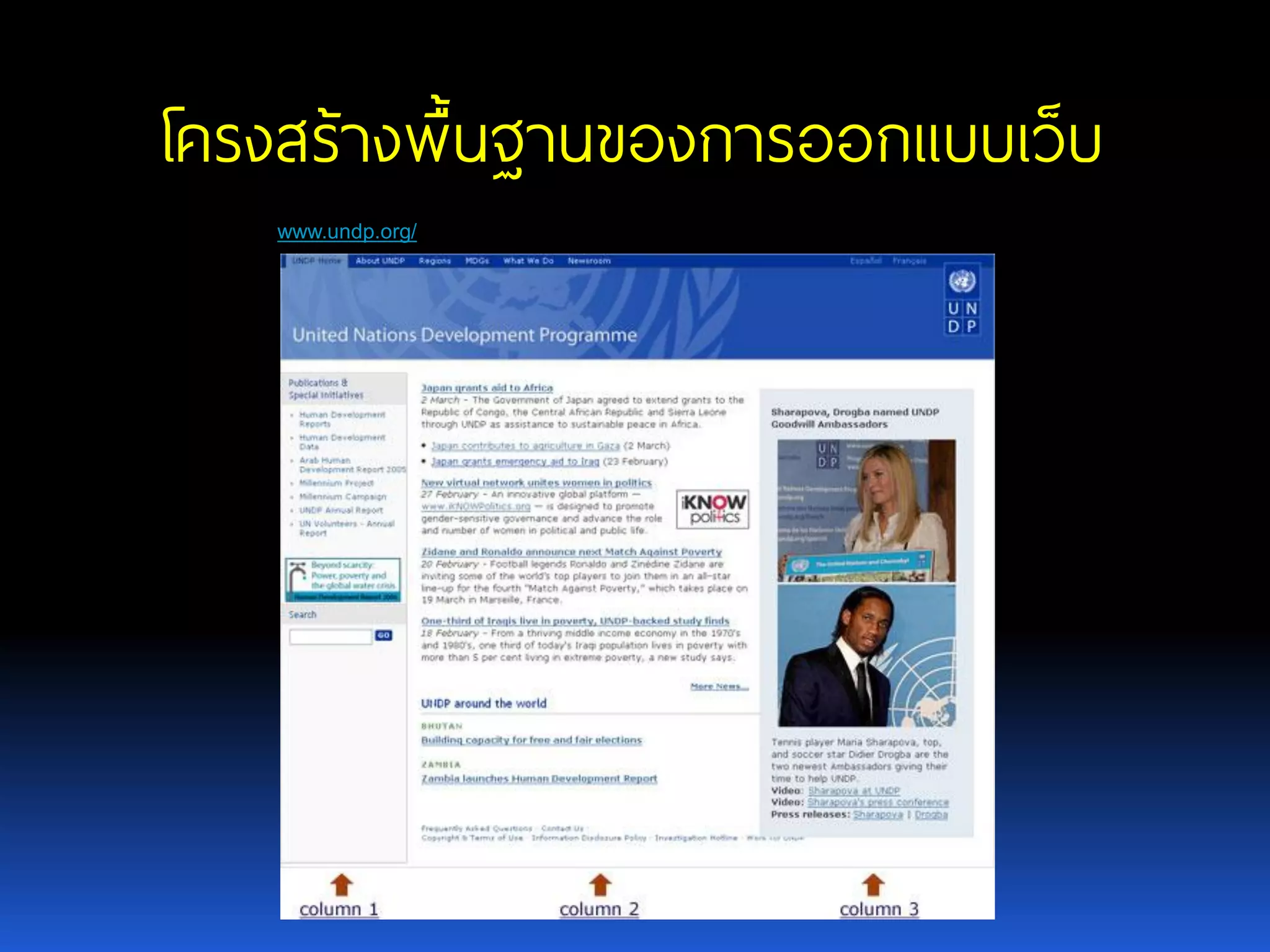 โครงสร้างพื้นฐานของการออกแบบเว็บ www.undp.org/ 