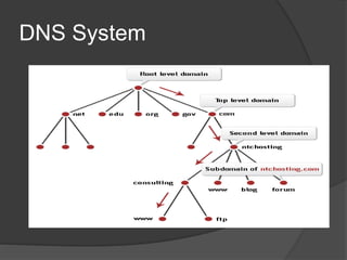 DNS System
 