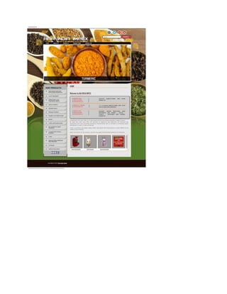 Web design company -budnetdesign, web design coimbatore