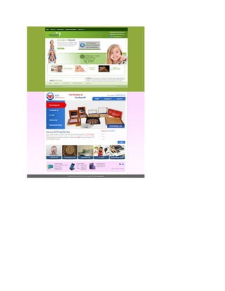 Web design company   budnet