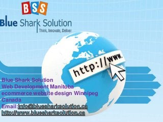 Blue Shark Solution
Web Development Manitoba
ecommerce website design Winnipeg
Canada
Email:
 