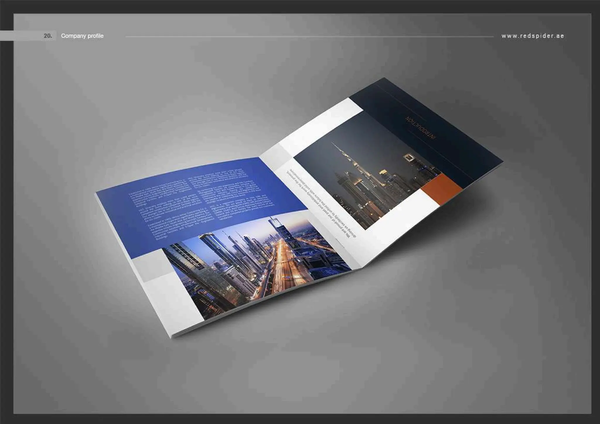 Web Design Dubai.pdf