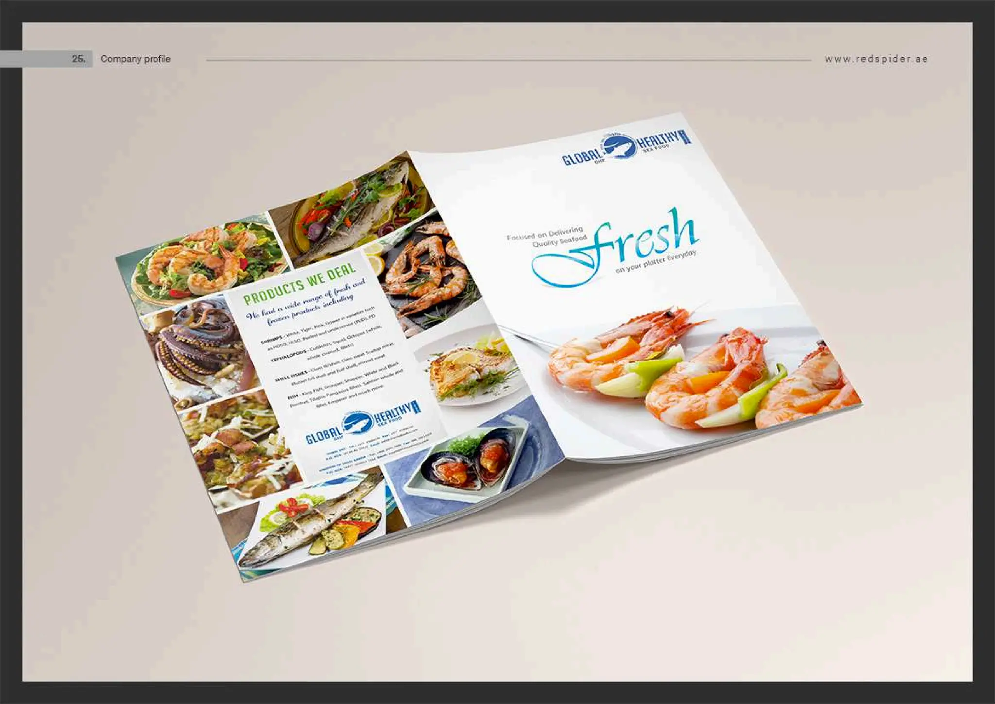 Web Design Dubai.pdf