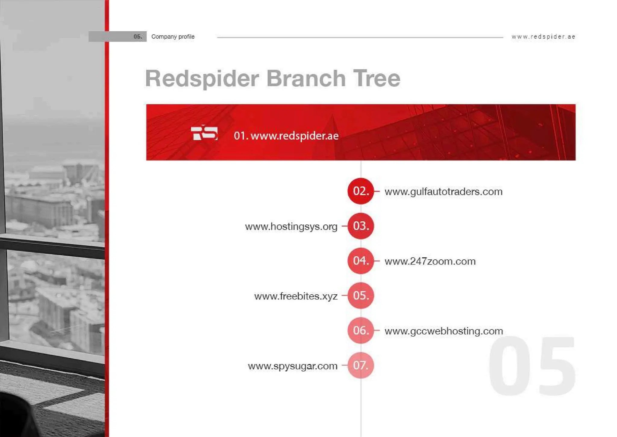 Web Design Dubai.pdf